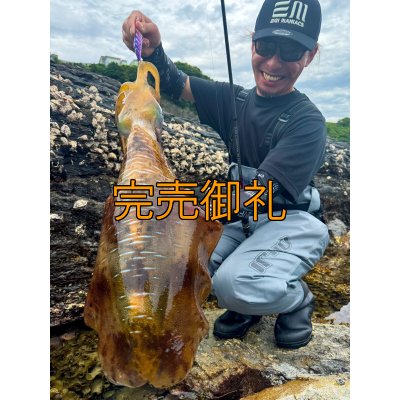 画像1: WILDCHASE 3.5号シャローtune/モンスターパープル [特注:EGI MANIACS]