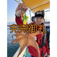 エギマニ新CORDURAライフベスト 国土交通省型式承認品【別注ブルーストーム】