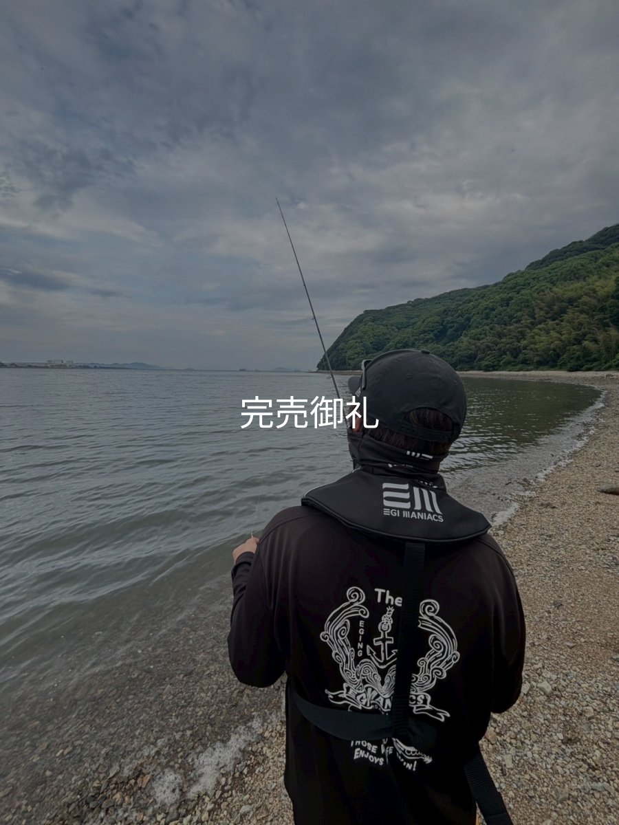 画像6: エギマニ新CORDURAライフベスト 国土交通省型式承認品【別注ブルーストーム】 (6)