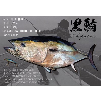 画像3: DIGITAL魚拓/イカ拓制作依頼