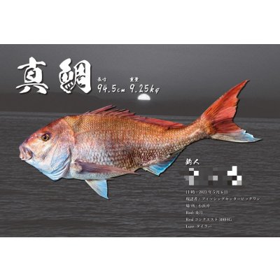 画像5: DIGITAL魚拓/イカ拓制作依頼