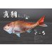 画像5: DIGITAL魚拓/イカ拓制作依頼