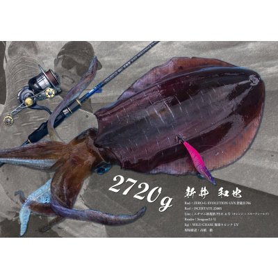 画像6: DIGITAL魚拓/イカ拓制作依頼