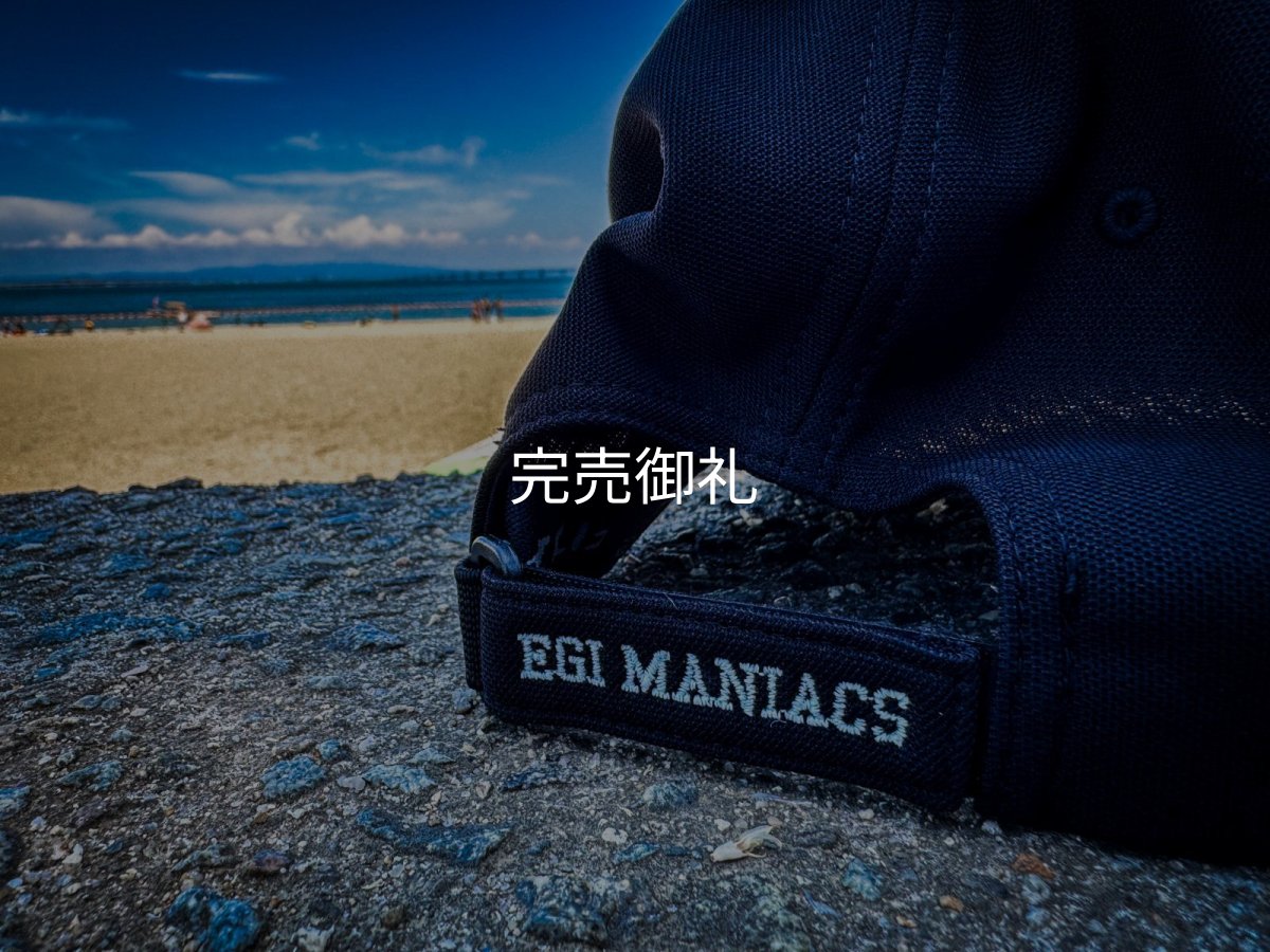 画像13: ★送料無料★ＥＭクロス３Ｄ刺繍ストレッチ/カーブCAP (13)