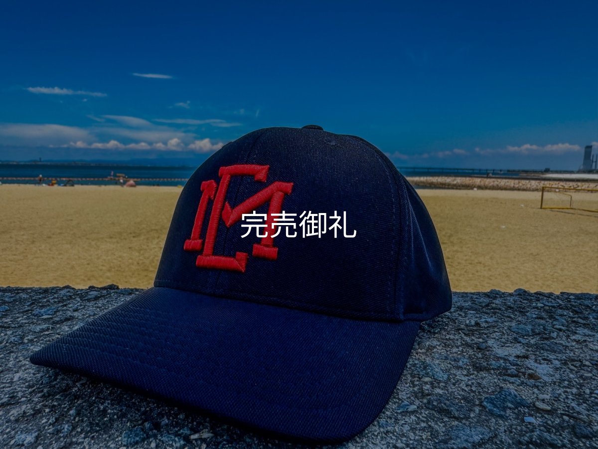画像5: ★送料無料★ＥＭクロス３Ｄ刺繍ストレッチ/カーブCAP (5)