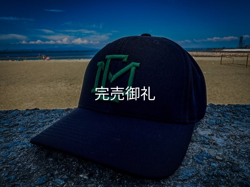 ☆送料無料☆EMクロス3D刺繍ストレッチ/カーブCAP - EGI MANIACS