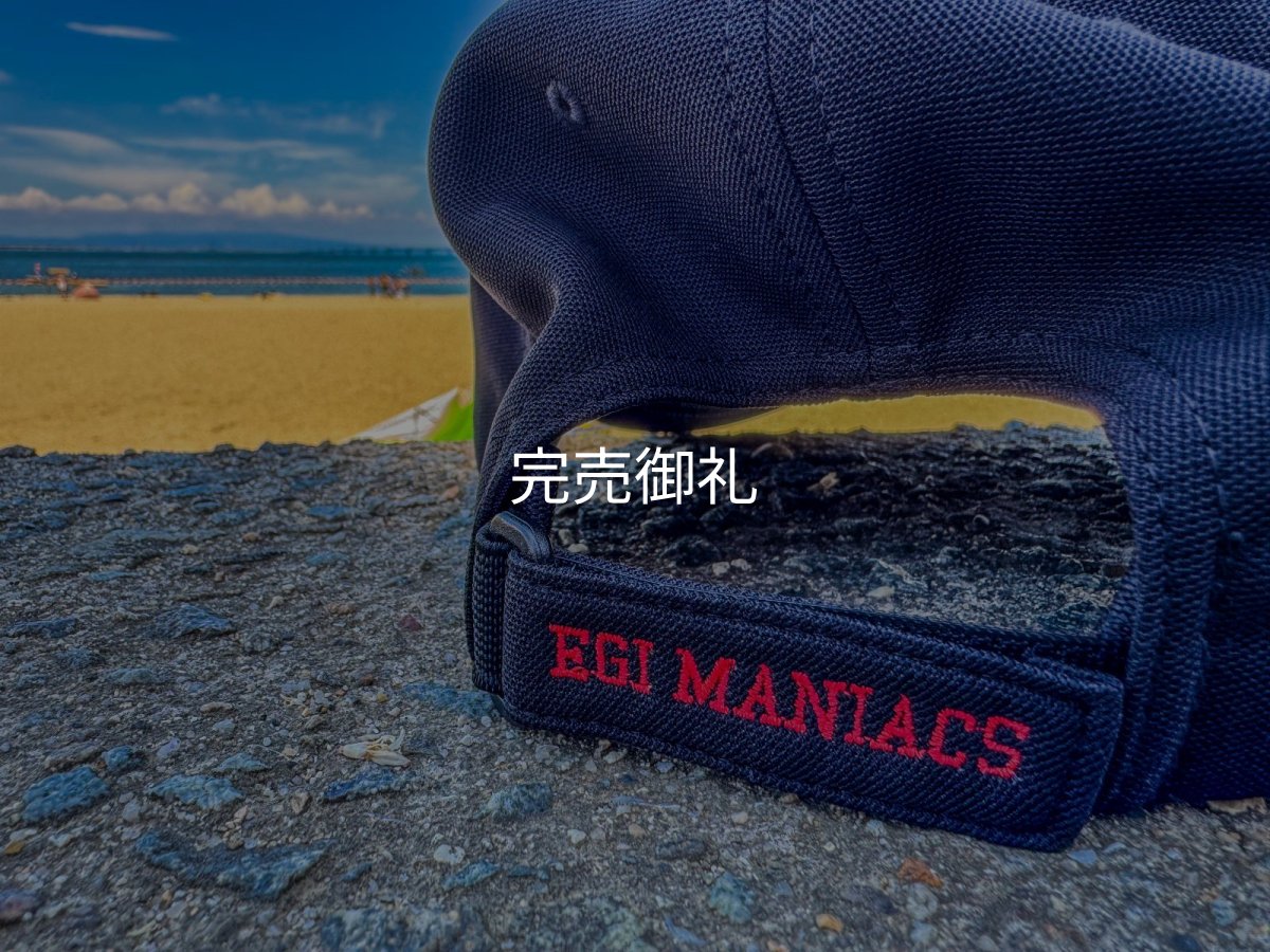 画像7: ★送料無料★ＥＭクロス３Ｄ刺繍ストレッチ/カーブCAP (7)