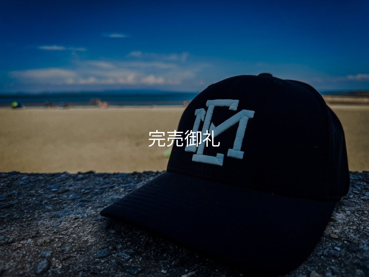 画像11: ★送料無料★ＥＭクロス３Ｄ刺繍ストレッチ/カーブCAP (11)