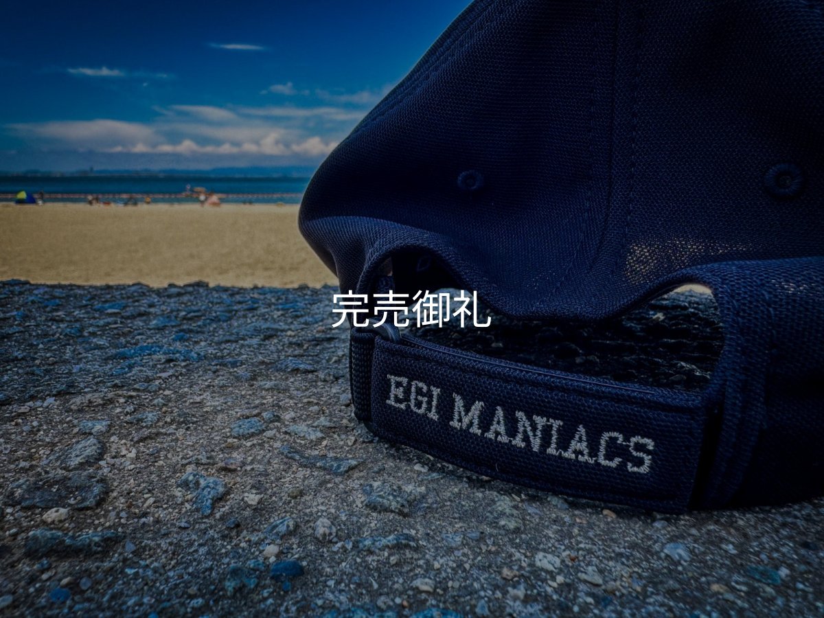 画像16: ★送料無料★ＥＭクロス３Ｄ刺繍ストレッチ/カーブCAP (16)