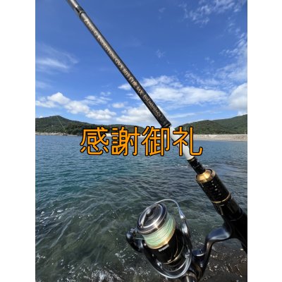 画像3: FINAL 13%OFF『魅黒/パールWHITE』ZERO-G EVOLUTION  GVX 803 白虎 MX  [別注EGI MANIACS]