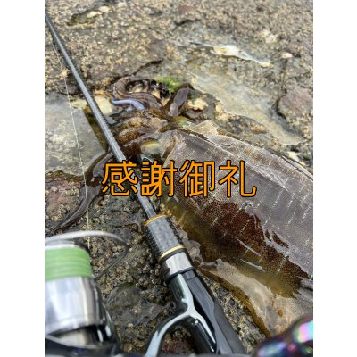 画像7: FINAL 13%OFF『魅黒/パールWHITE』ZERO-G EVOLUTION  GVX 803 白虎 MX  [別注EGI MANIACS]