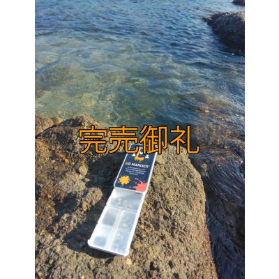 画像11: 送料無料エギマニ マルチケース(小物用)