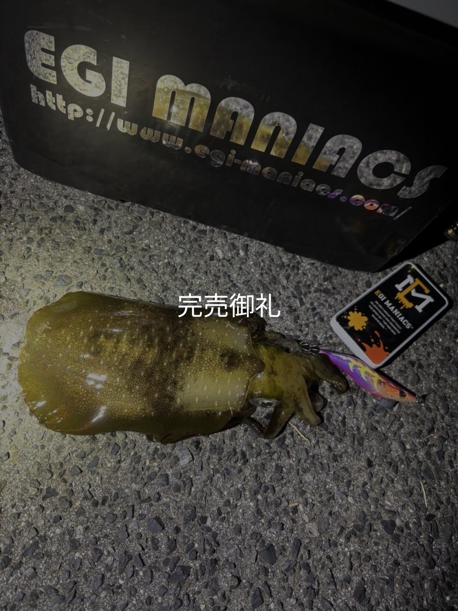 画像10: 送料無料エギマニ マルチケース(小物用) (10)