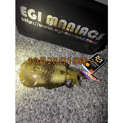 画像10: 送料無料エギマニ マルチケース(小物用)