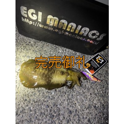 画像10: 送料無料エギマニ マルチケース(小物用)