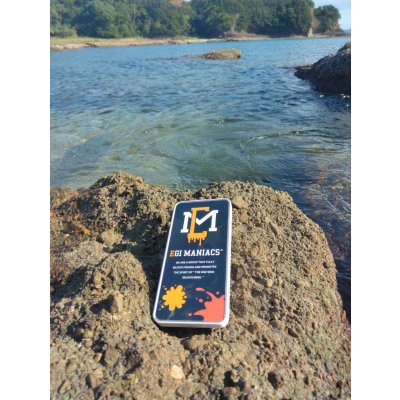 画像8: 送料無料エギマニ マルチケース(小物用)