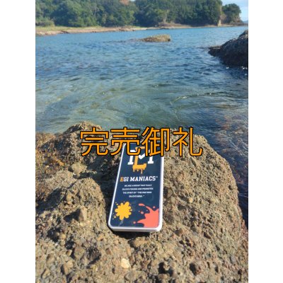 画像8: 送料無料エギマニ マルチケース(小物用)