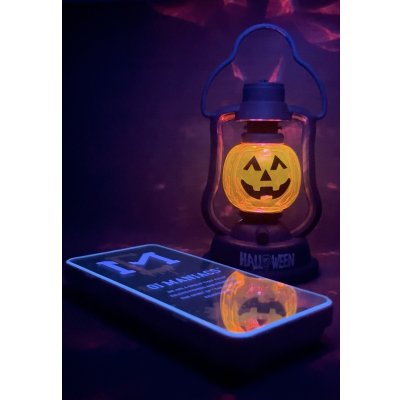 画像1: 送料無料エギマニ マルチケース(小物用)