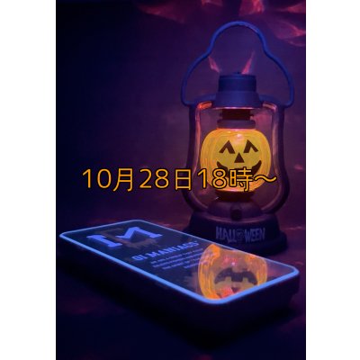 画像1: 送料無料エギマニ マルチケース(小物用)