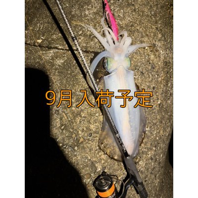 画像10: CRAYNOS TRIDENT 708MX【東レ M46X】CORK