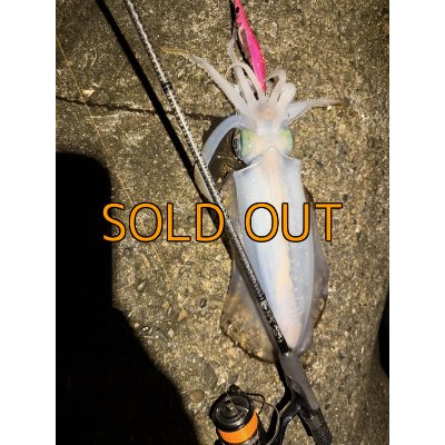 画像10: CRAYNOS TRIDENT 708 MX 【M46X】EVA type