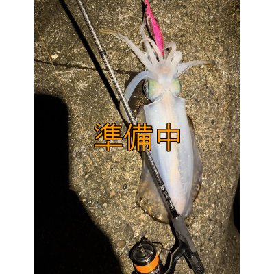 画像10: 合言葉限定 CRAYNOS TRIDENT 708 MX 【M46X】