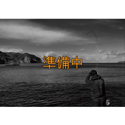 画像4: 合言葉限定 CRAYNOS TRIDENT 708 MX 【M46X】