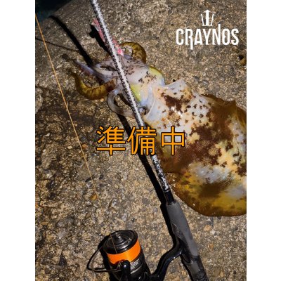 画像9: 合言葉限定 CRAYNOS TRIDENT 708 MX 【M46X】