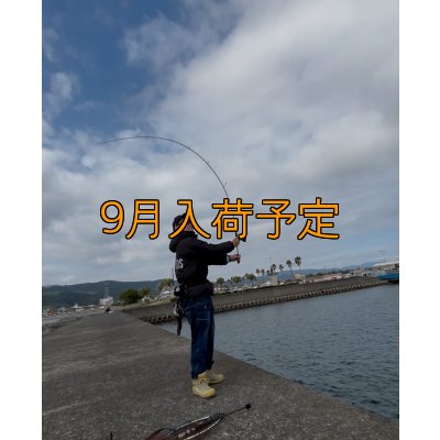 画像9: CRAYNOS TRIDENT 704 MX【東レ  M46X】CORK