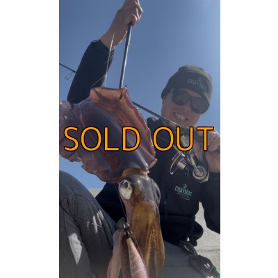 画像4: CRAYNOS TRIDENT 704 MX 【M46X】EVA type