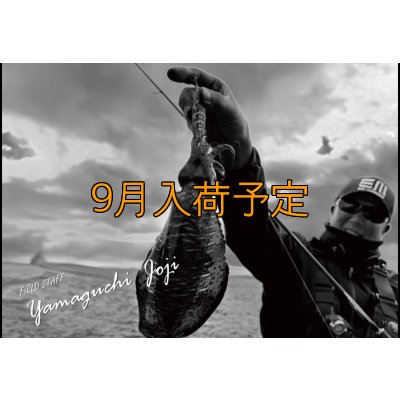 画像3: CRAYNOS TRIDENT 704 MX【東レ  M46X】CORK