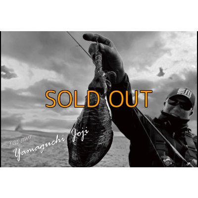 画像3: CRAYNOS TRIDENT 704 MX 【M46X】EVA type