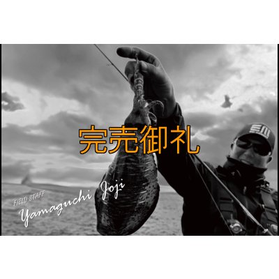 画像3: 先行予約限定 CRAYNOS TRIDENT 704 MX 【M46X】CORK