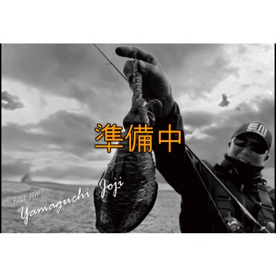 画像3: 合言葉限定 CRAYNOS TRIDENT 704 MX 【M46X】