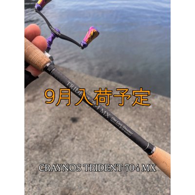 画像8: CRAYNOS TRIDENT 704 MX【東レ  M46X】CORK