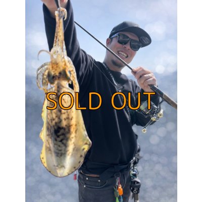 画像5: CRAYNOS TRIDENT 704 MX 【M46X】EVA type