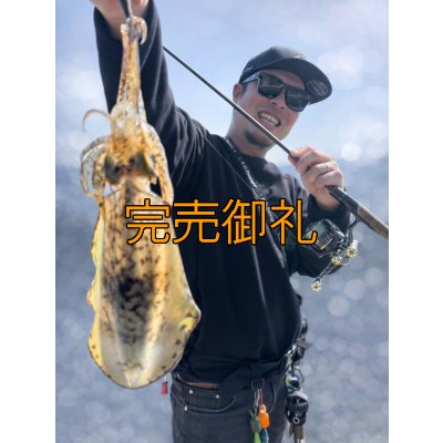 画像5: 先行予約限定 CRAYNOS TRIDENT 704 MX 【M46X】CORK