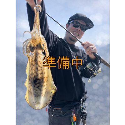 画像5: 合言葉限定 CRAYNOS TRIDENT 704 MX 【M46X】