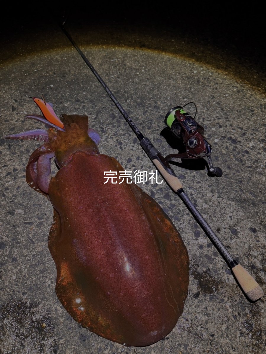 画像7: 合言葉限定 CRAYNOS TRIDENT 704 MX 【東レM46X】 (7)