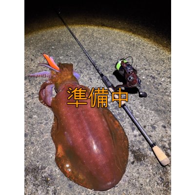 画像7: 合言葉限定 CRAYNOS TRIDENT 704 MX 【M46X】