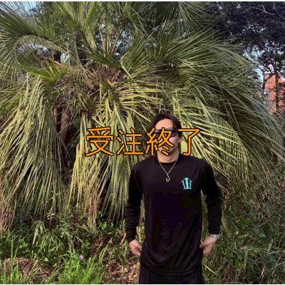 画像6: 受注生産  CRAYNOSシルキードライ/ロンT