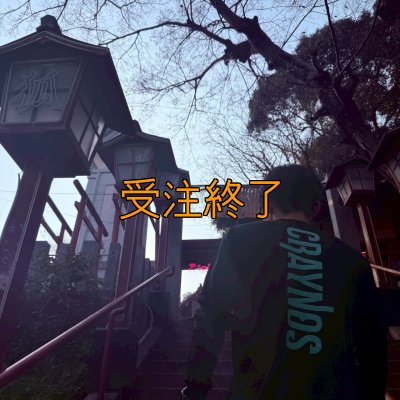 画像12: 受注生産  CRAYNOSシルキードライ/ロンT