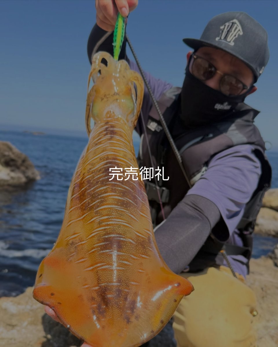 画像2: 新 CRAYNOSフェイスカバー (2)