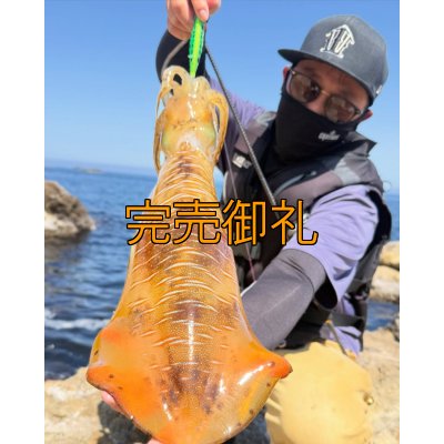 画像2: 新 CRAYNOSフェイスカバー