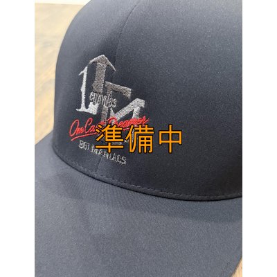 画像3: ★送料無料★ツバ裏 Wネーム /カーブメッシュ ストレッチCAP