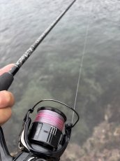 画像24: 【LUNA PINK】nine9 0.5-210m  (24)