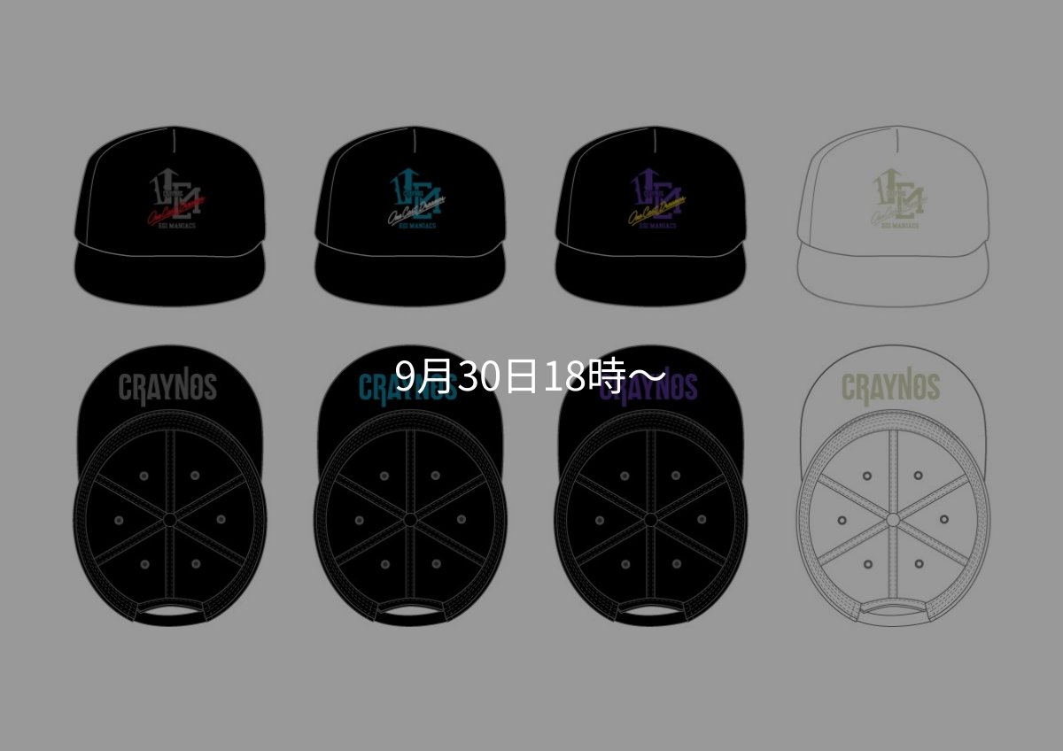 画像10: ★送料無料★ツバ裏 Wネーム /フラット ストレッチCAP (10)