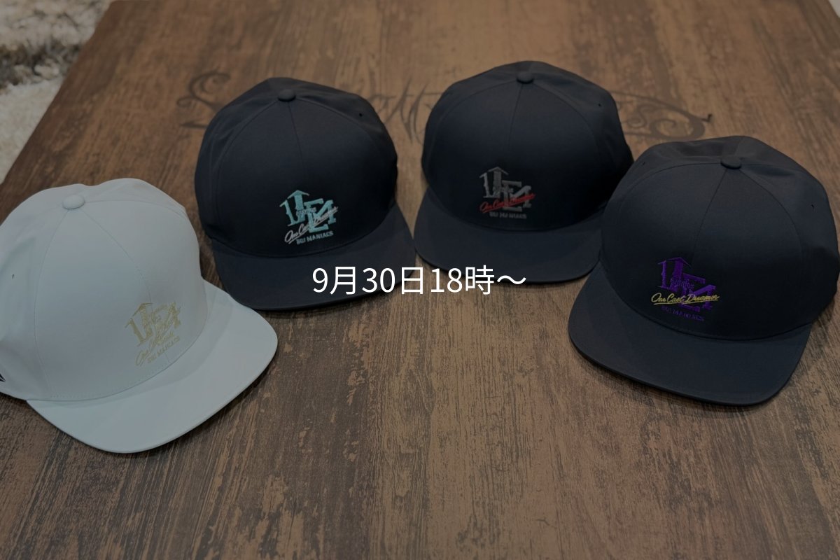 画像9: ★送料無料★ツバ裏 Wネーム /フラット ストレッチCAP (9)