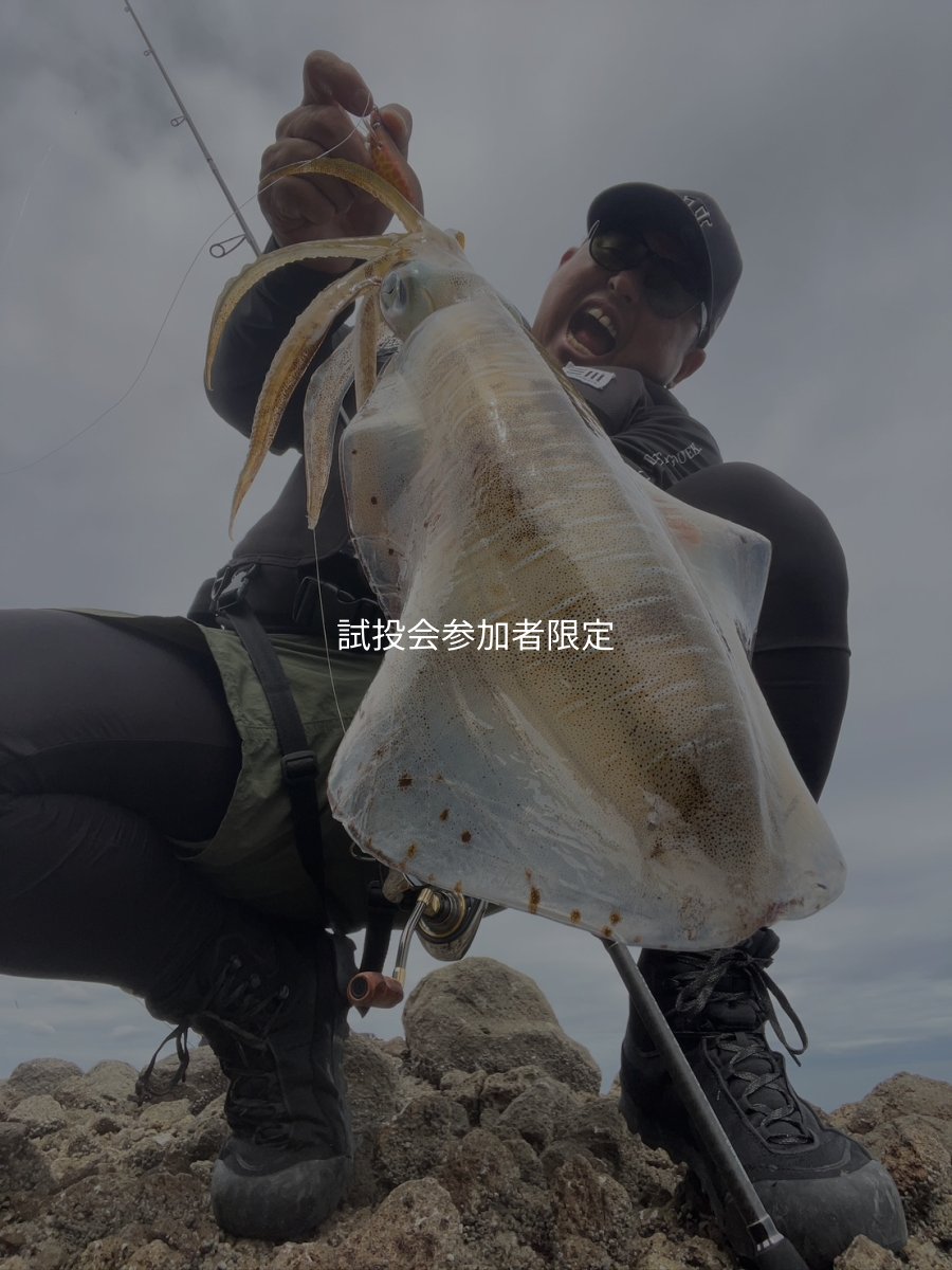 画像2: 合言葉限定 CRAYNOS TRIDENT 803 MX 【東レM46X】 (2)