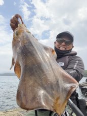 画像3: 合言葉限定 CRAYNOS TRIDENT 803 MX 【東レM46X】 (3)